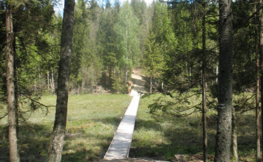 48_Seires takas. A.Brazdeikytes n.jpg